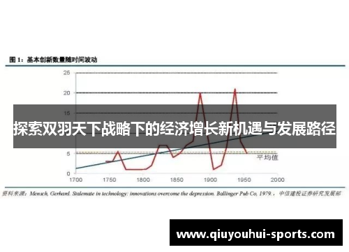 探索双羽天下战略下的经济增长新机遇与发展路径