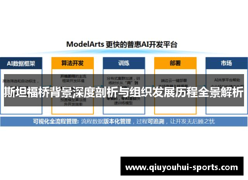 斯坦福桥背景深度剖析与组织发展历程全景解析